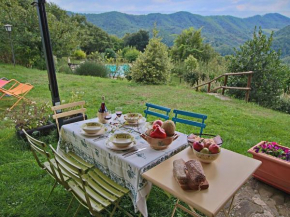 Farmhouse with pool in the hills beautiful views in the truffle area Apecchio